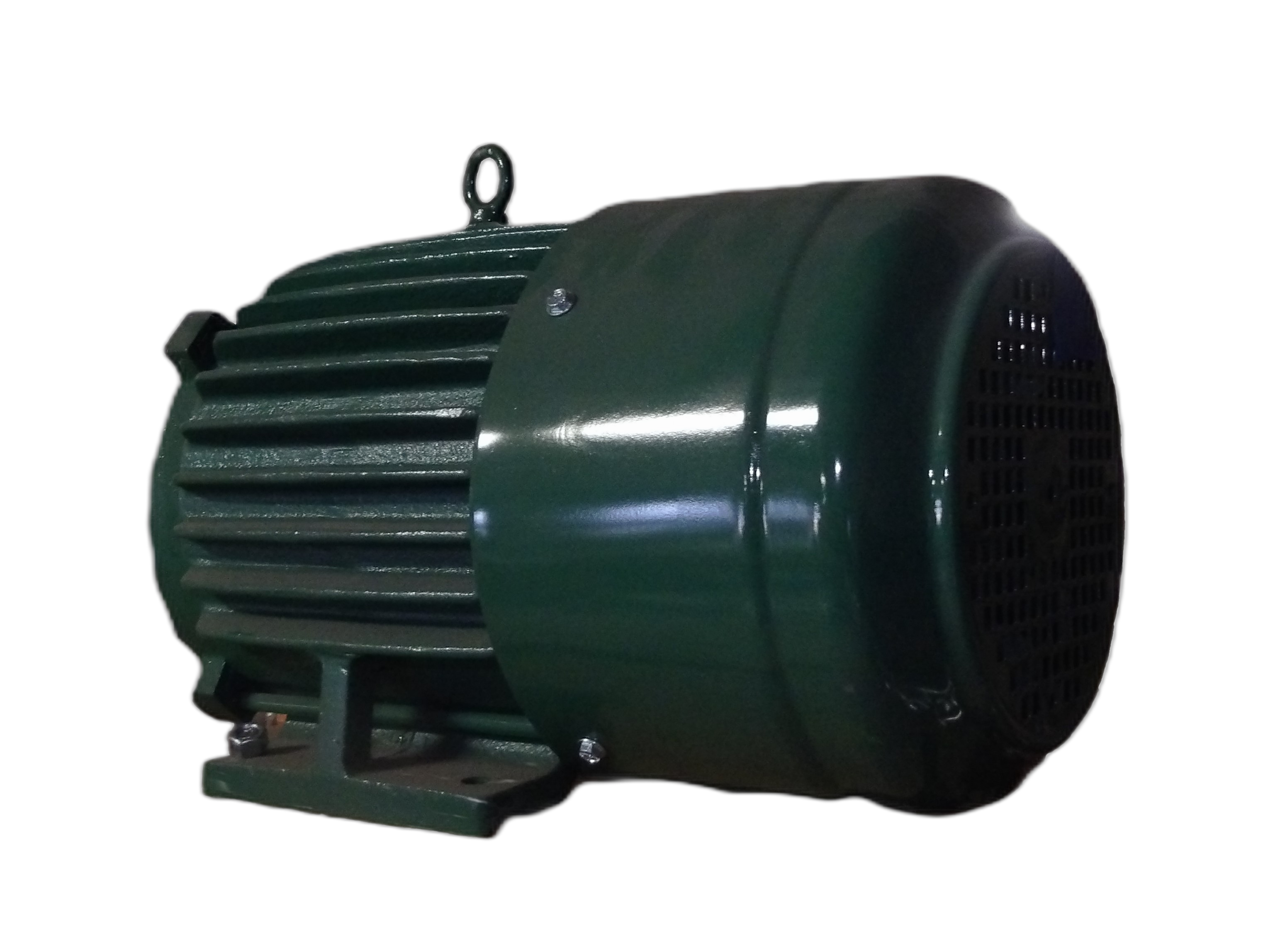 1-Phase 1 HP TEFC Motor, 1800R