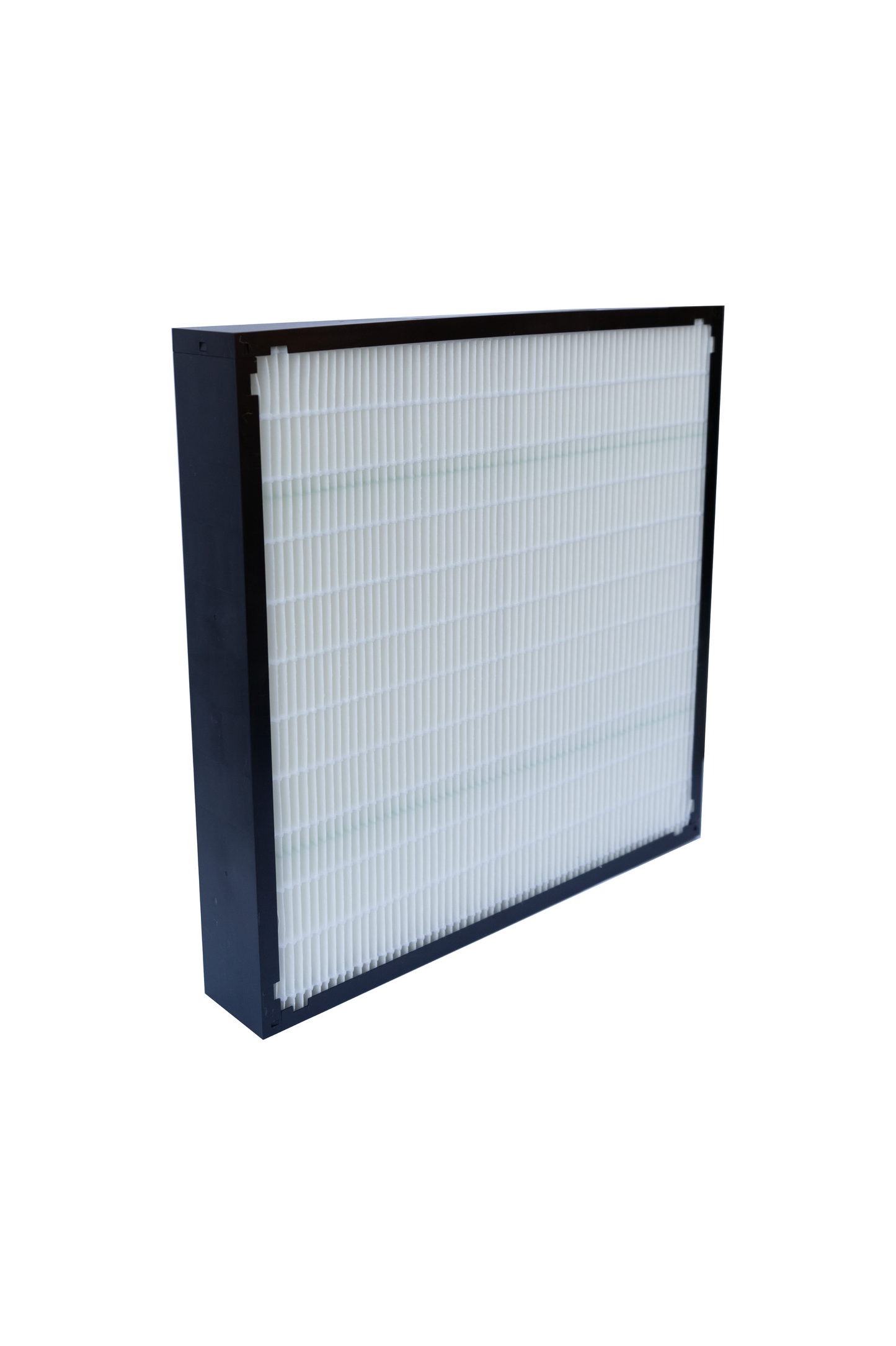 Dust & Powder Module Standard Final Filter